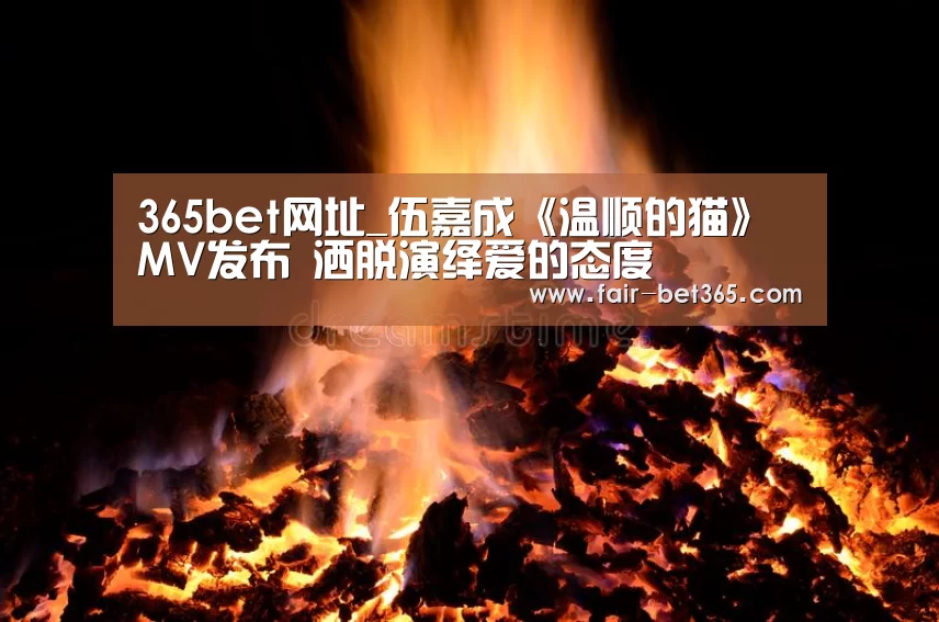 365bet网址