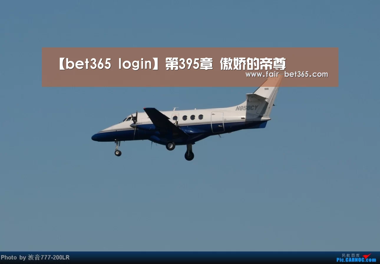 【bet365 login】第395章 傲娇的帝尊(图4) bet365 login